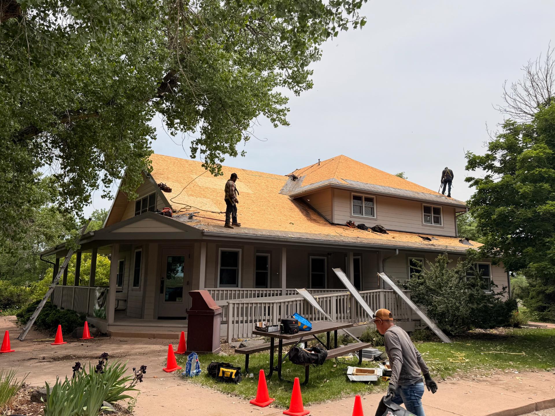 Jackson Lake Roof