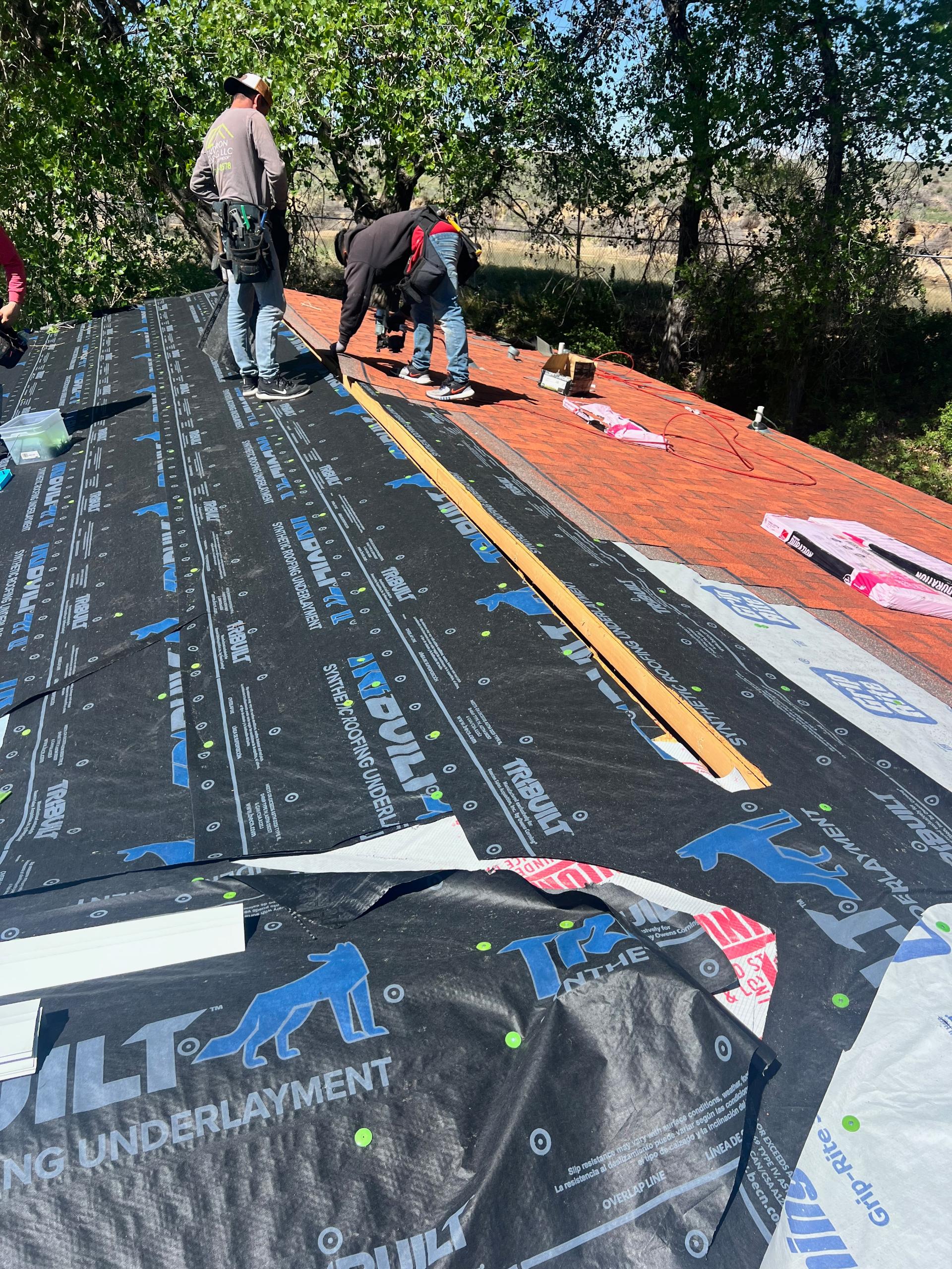 Jackson Lake Roof